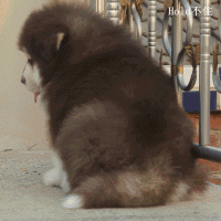 唉，尼马人生太无趣。。坐着发呆中