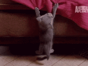 来人啊，救命啊，要掉下去了！