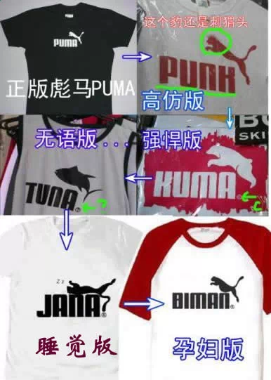 各个版本的PUMA